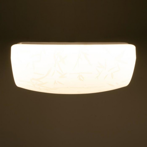 Светильник 1725/1 LED 12Вт 25,4х18х5,5 см