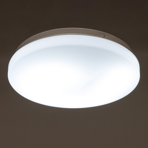 Светильник 2706/1m LED 12Вт 4000К белый d.20 см