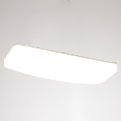 Светильник 1741/1 LED 12Вт белый 50х18х9 см