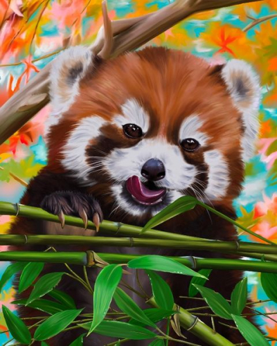 Картина по номерам 40х50 - Красная панда