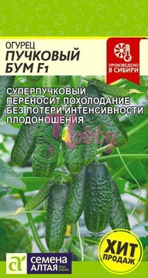 Огурец Пучковый бум F1 (5 шт) Семена Алтая
