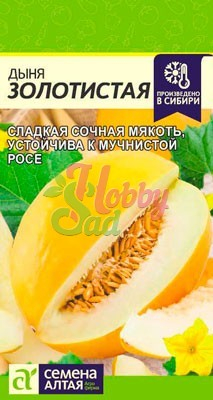 Дыня Золотистая (0,5 гр) Семена Алтая
