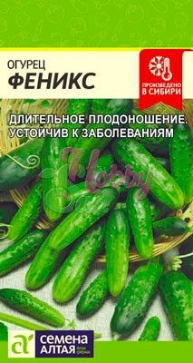 Огурец Феникс (0,5 г) Семена Алтая