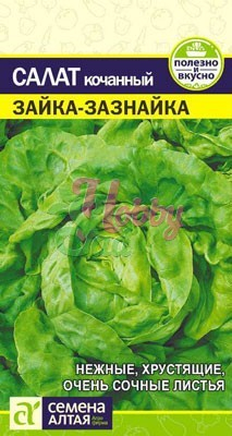 Салат Зайка-Зазнайка (0,5 гр) Семена Алтая