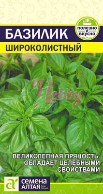 Базилик Широколистный (0,3 гр) Семена Алтая