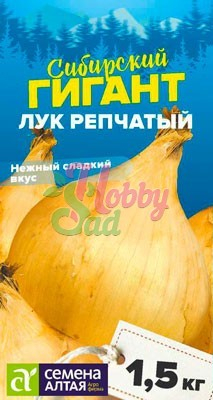 Лук Сибирский Гигант репчатый (0,2 гр) Семена Алтая СИБИРСКИЕ ГИГАНТЫ