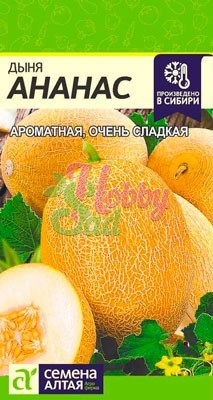 Дыня Ананас (1 гр) Семена Алтая