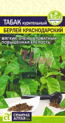 Табак Берлей Краснодарский (0,01 гр) Семена Алтая