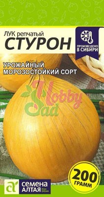 Лук Стурон (0,5 гр) Семена Алтая