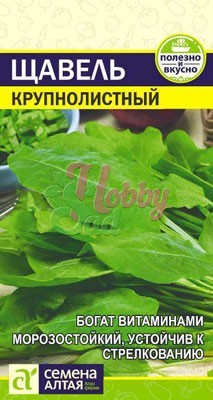 Щавель Крупнолистный (0,5 г) Семена Алтая