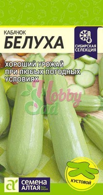 Кабачок Белуха (2 гр) Семена Алтая Сибирская Селекция!