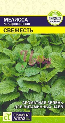 Мелисса Свежесть лекарственная (0,1 гр) Семена Алтая