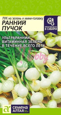 Лук Ранний Пучок на зелень и миниголовку (0,5 гр) Семена Алтая