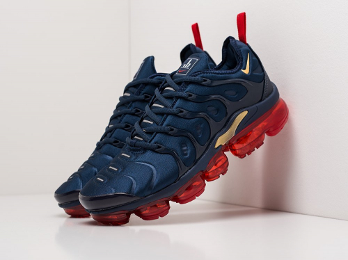 Кроссовки Nike Air VaporMax Plus,КОПИИ