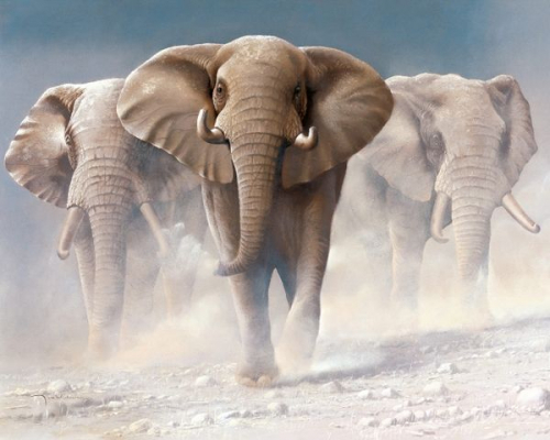 Три слона (худ. Венинг Я.)