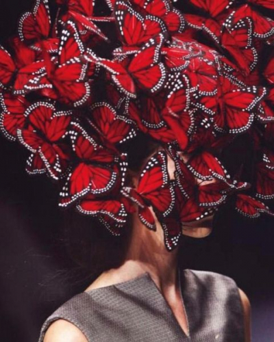 Бабочки на голове