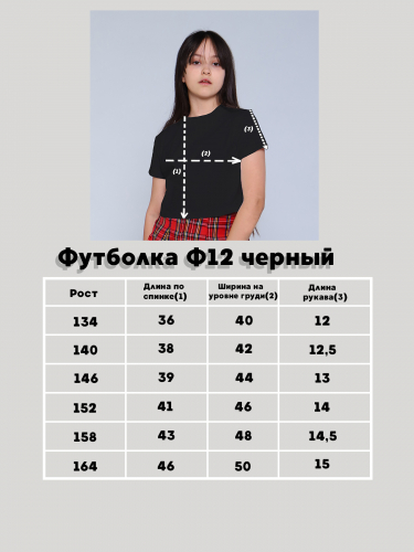 Футболка Ф12 черный