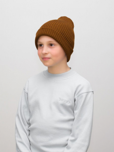 Шапка для мальчика весна-осень Ниса (Цвет светло-коричневый), размер 52-56, шерсть 50%