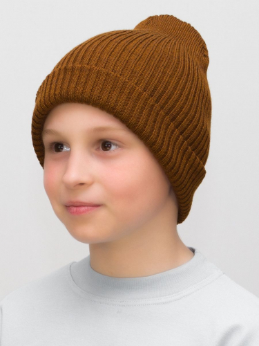 Шапка для мальчика весна-осень Ниса (Цвет светло-коричневый), размер 52-56, шерсть 50%