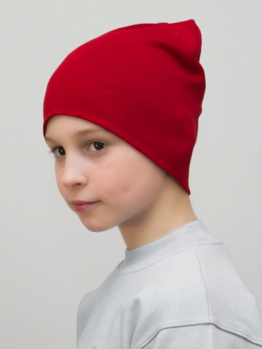 Шапка для мальчика (Цвет красный), размер 52-54, хлопок 95%