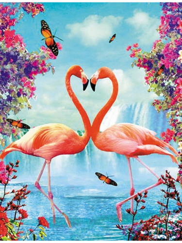 Любовь. Фламинго
