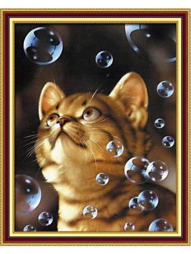 Кот и мыльные пузыри