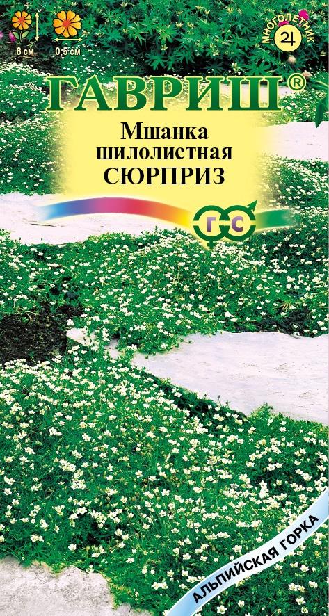 Цветы Мшанка Сюрприз 0,01 г ц/п Гавриш (мног.) альп. горка