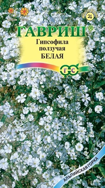 Цветы Гипсофила Белая ползучая 0,05 г ц/п Гавриш (мног.)