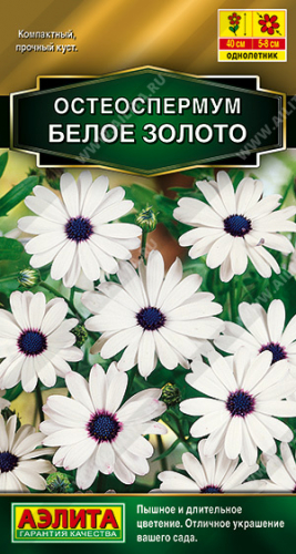 Цветы Остеоспермум Белое золото 10 шт ц/п Аэлита (однол.)