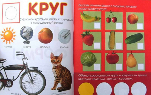 Формы:свойства.Примеры.Задания; сер.Готовимся к школе играя