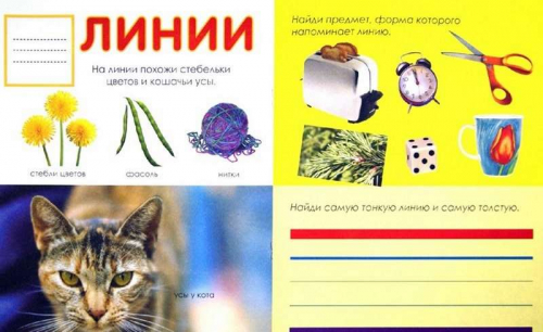 Формы:свойства.Примеры.Задания; сер.Готовимся к школе играя