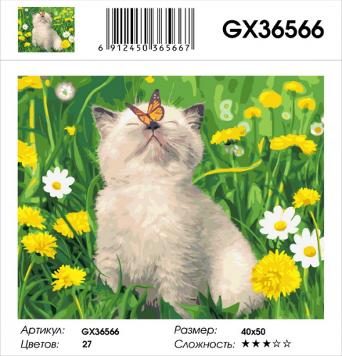 GX 36566 Картины 40х50 GX и US