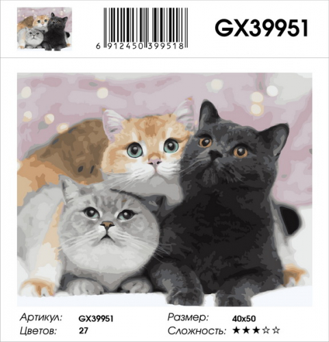 GX 39951 Картины 40х50 GX и US