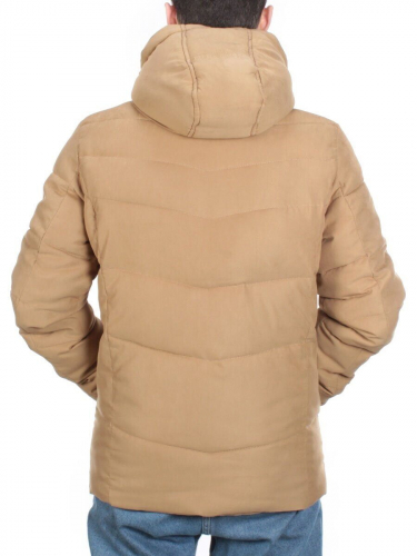 J8265 CAMEL Куртка мужская зимняя NEW B BEK (100% нейлон) размер L - 46 российский
