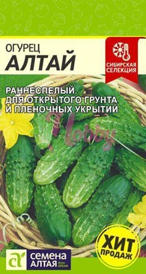 Огурец Алтай (0,5 гр) Семена Алтая Сибирская Селекция!
