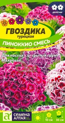 Цветы Гвоздика Пиноккио турецкая (0,1 г) Семена Алтая