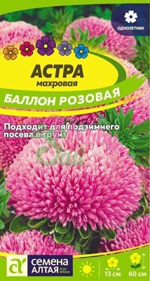 Цветы Астра Баллон Розовая махровая (0,05 гр) Семена Алтая