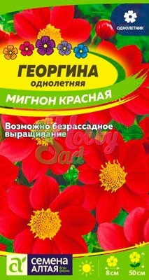 Цветы Георгина Мигнон Красная (0,2 г) Семена Алтая