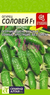 Огурец Соловей F1 (0,3 гр) Семена Алтая