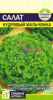 Салат Кудрявый Мальчонка (0,5 гр) Семена Алтая