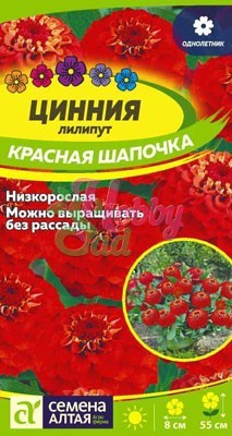 Цветы Цинния Лилипут Красная Шапочка (0,3 г) Семена Алтая