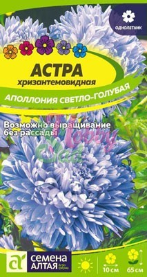 Цветы Астра Аполлония Светло-голубая хризантемовидная (0,2 гр) Семена Алтая