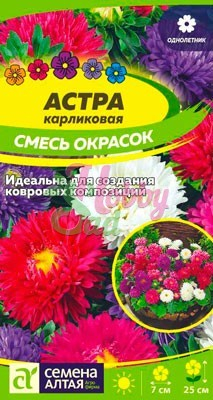 Цветы Астра Карликовая смесь окрасок (0,1 гр) Семена Алтая