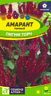 Цветы Амарант Пигми Торч темный (0,2 г) Семена Алтая
