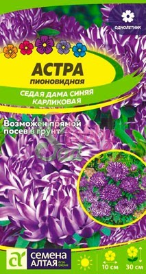 Цветы Астра Седая Дама Синяя карликовая (0,1 гр) Семена Алтая