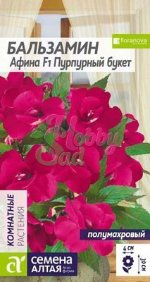 Цветы Бальзамин Афина Пурпурный букет (5 шт) Семена Алтая