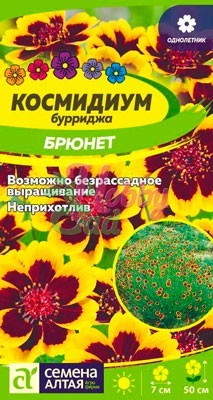 Цветы Космидиум Брюнет (0,01 г) Семена Алтая