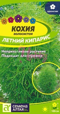 Цветы Кохия Летний Кипарис (0,2 г) Семена Алтая