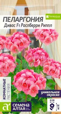 Цветы Пеларгония Дивас Распберри Риппл зональная (4 шт) Семена Алтая