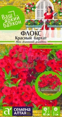 Цветы Флокс Красный Бархат друммонда (0,1 г) Семена Алтая Ваш яркий балкон